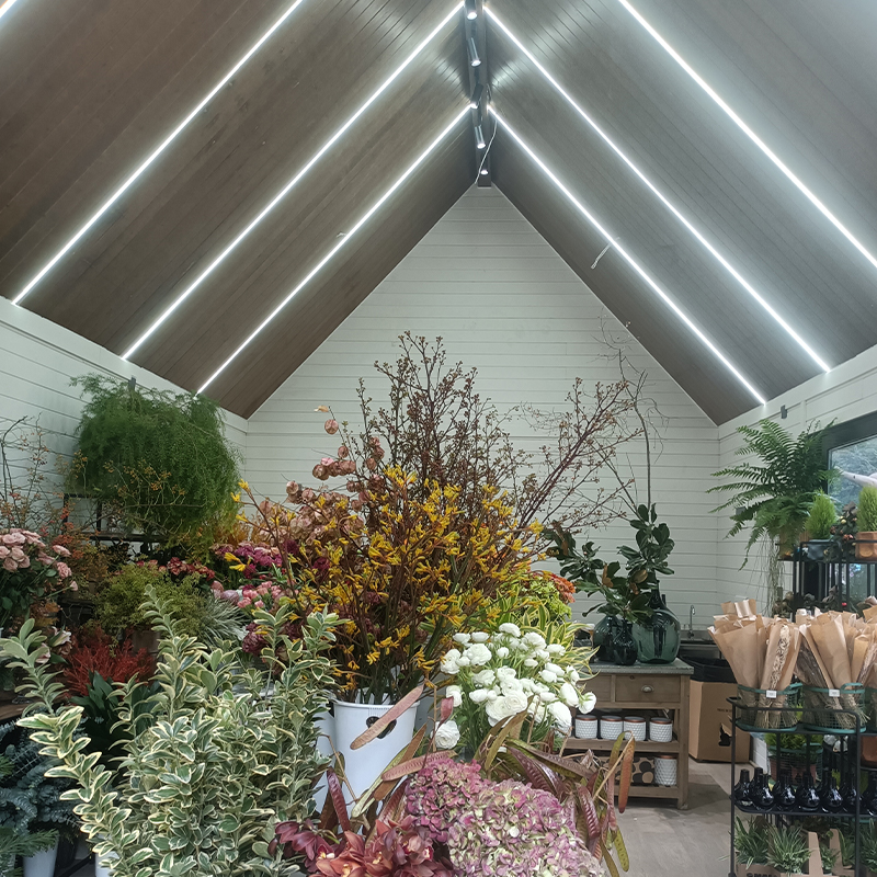 Wooden Yard house Wooden Yard house