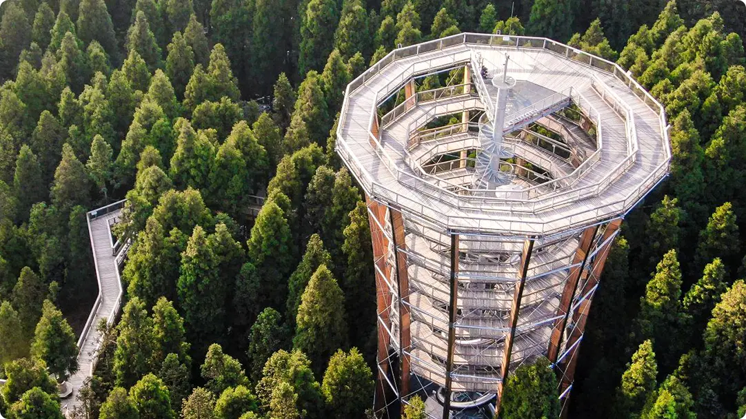 Xiannv Mountain - Tree Top Walk, Chongqing